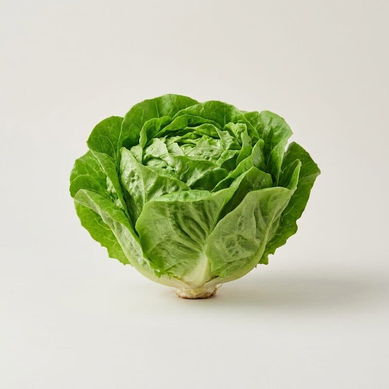 Kopfsalat