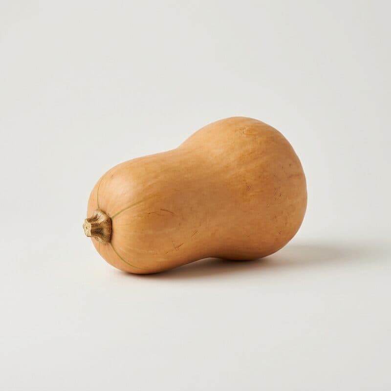 Kürbis Butternut